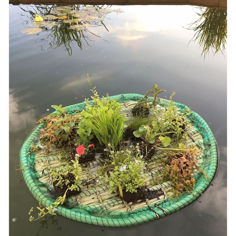 Drijvend planteneiland voor oeverbeplanting