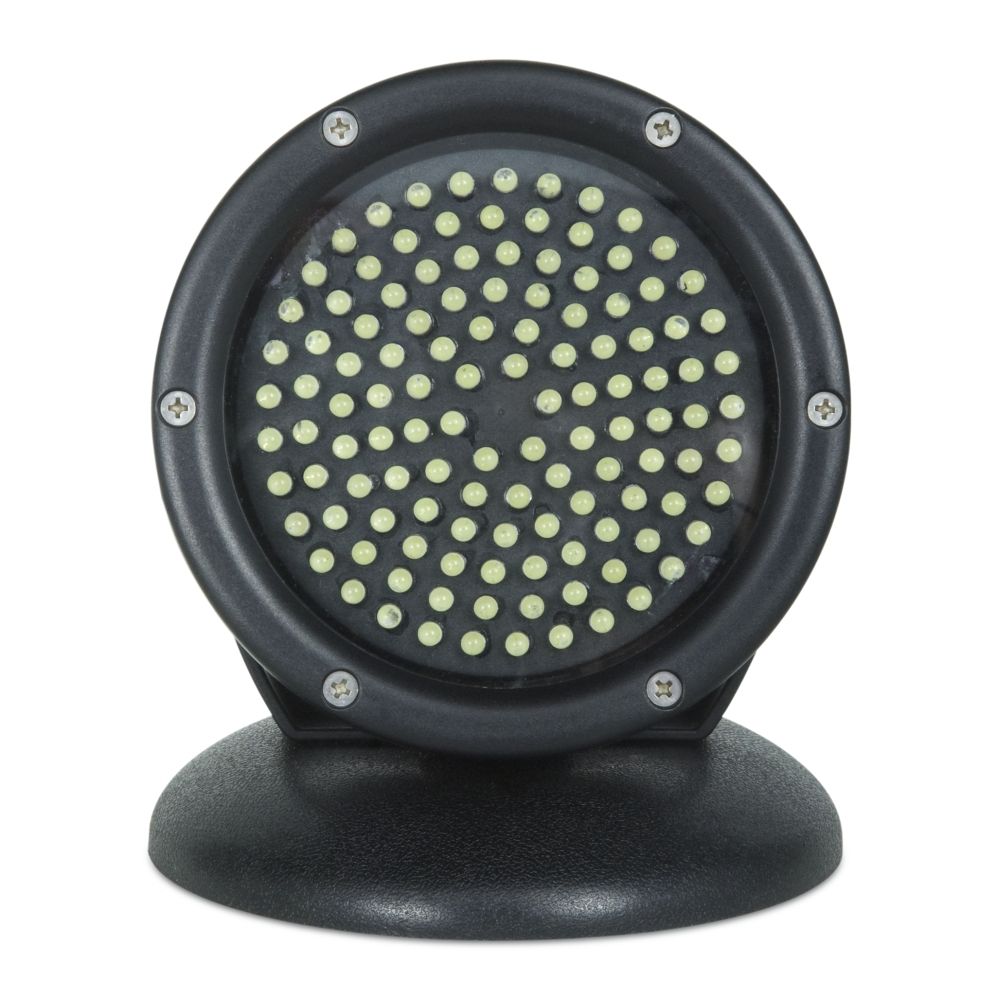 Aquaking LED Lamp 12 Volt