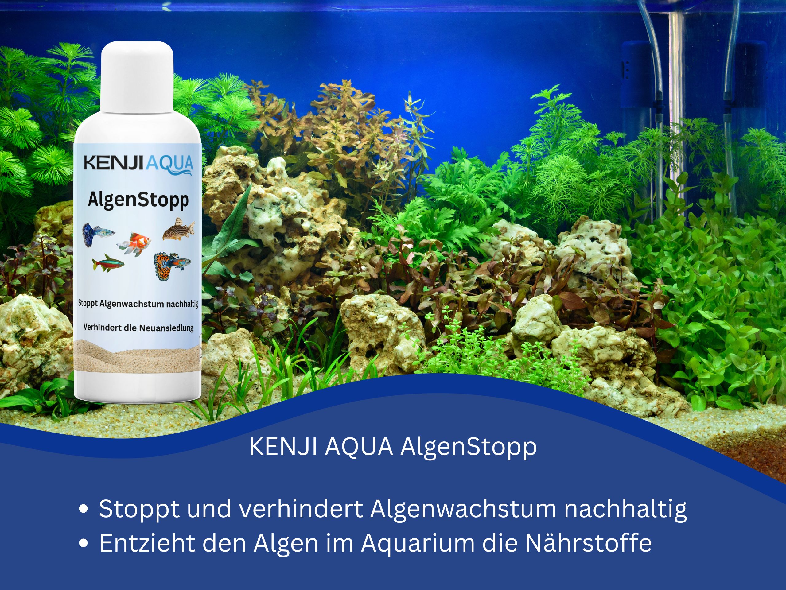 KENJI AQUA AlgenStop