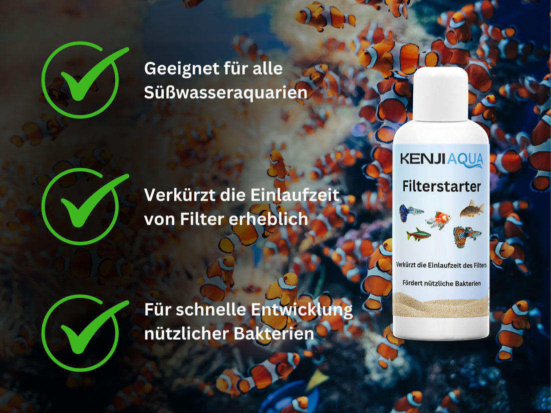 KENJI AQUA FilterStarter