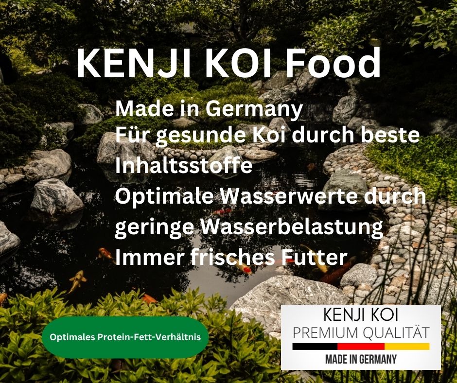 KENJI KOI Babyvoer 3 - 1 KG
