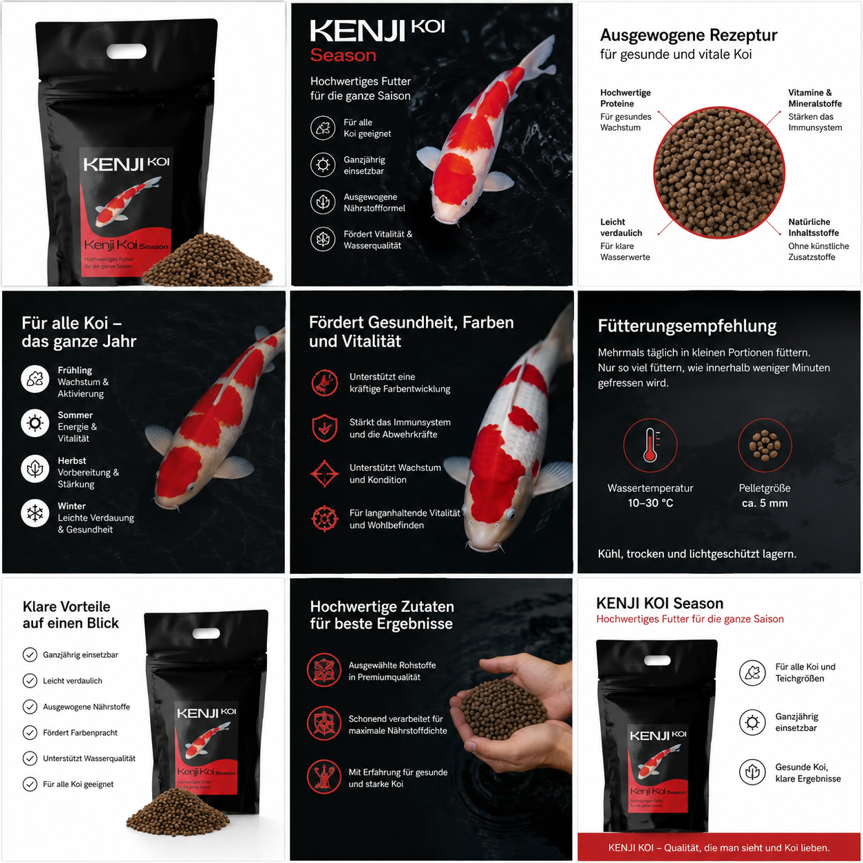 KENJI KOI Seizoen 5kg