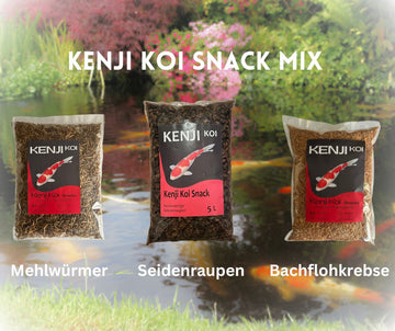 KENJI KOI Snack Mix