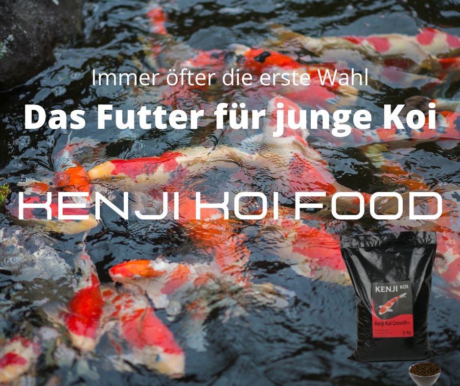 KENJI Koi Color & Growth 5 kg