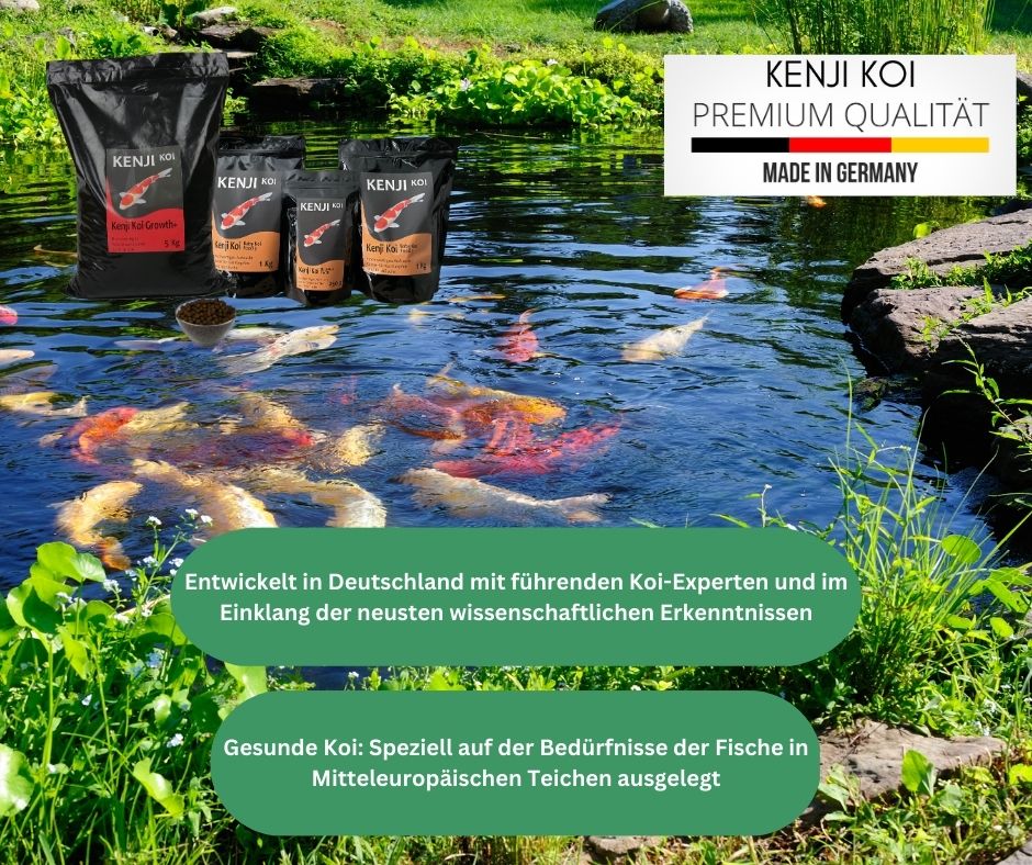 KENJI KOI BabyFood 1-3 Voederset