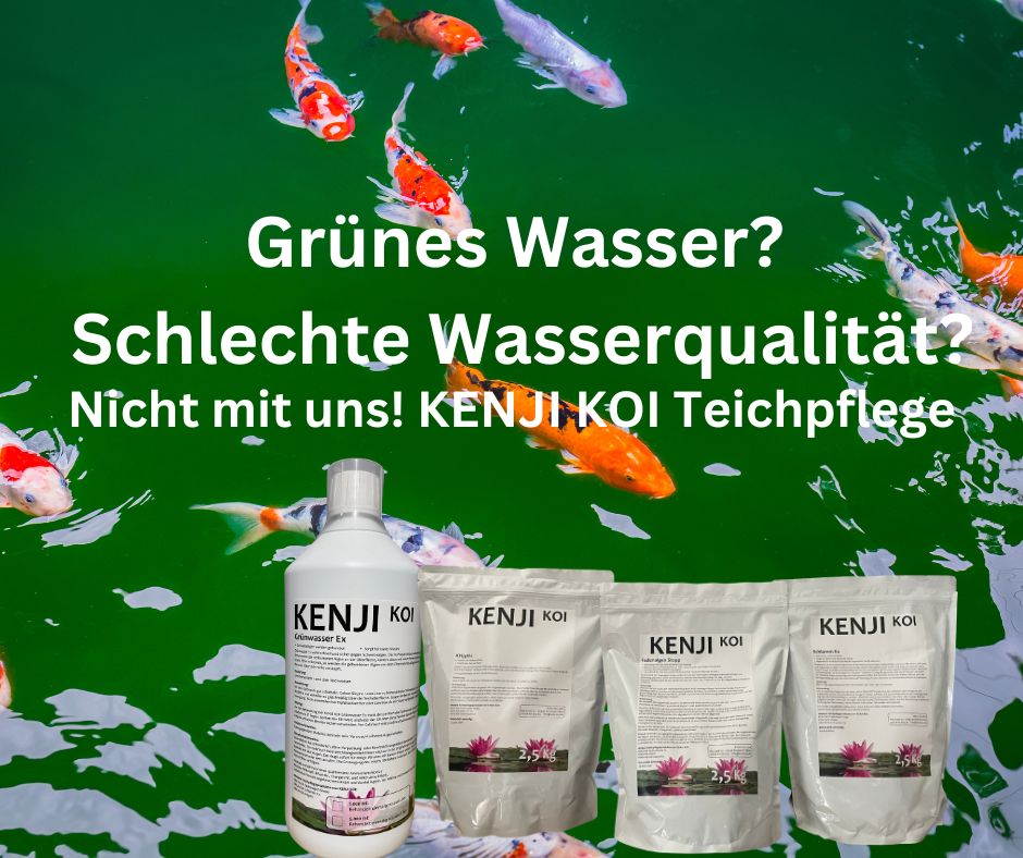 KENJI KOI Draadalgen Stop