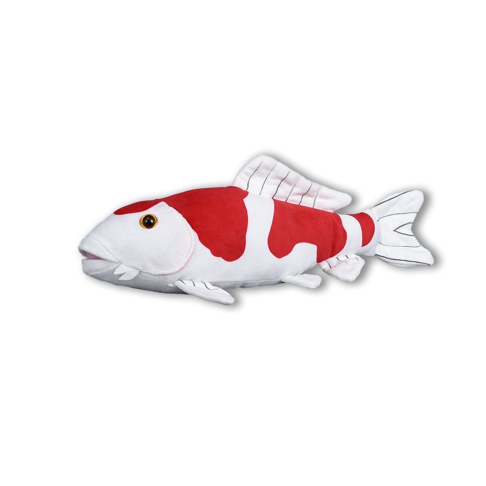 Pluchen karper