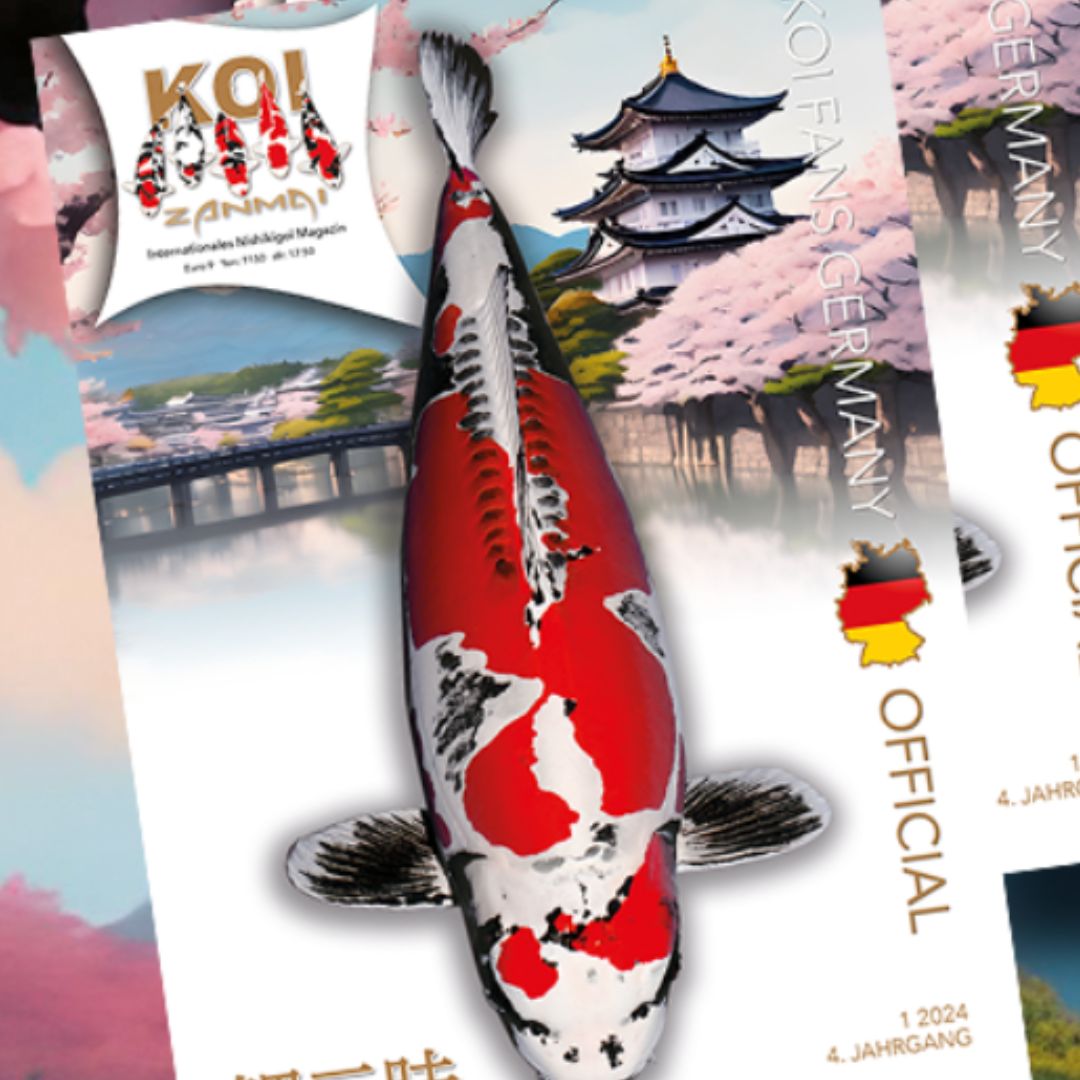 KOI ZANMAI uitgave 1/2024