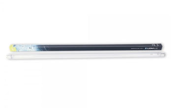 LIONA UVC TL-lamp