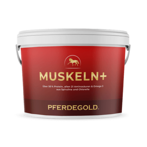 Muskeln+ 2.0