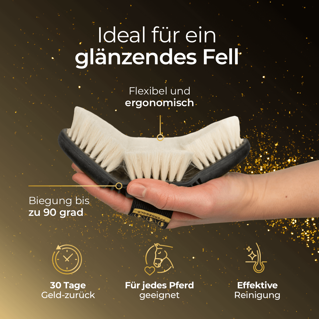 Glanzbürste