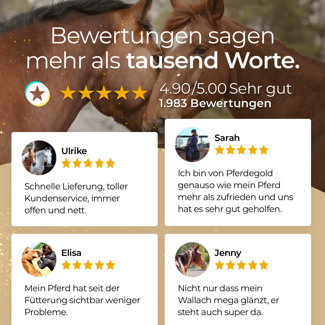 Glanzbürste