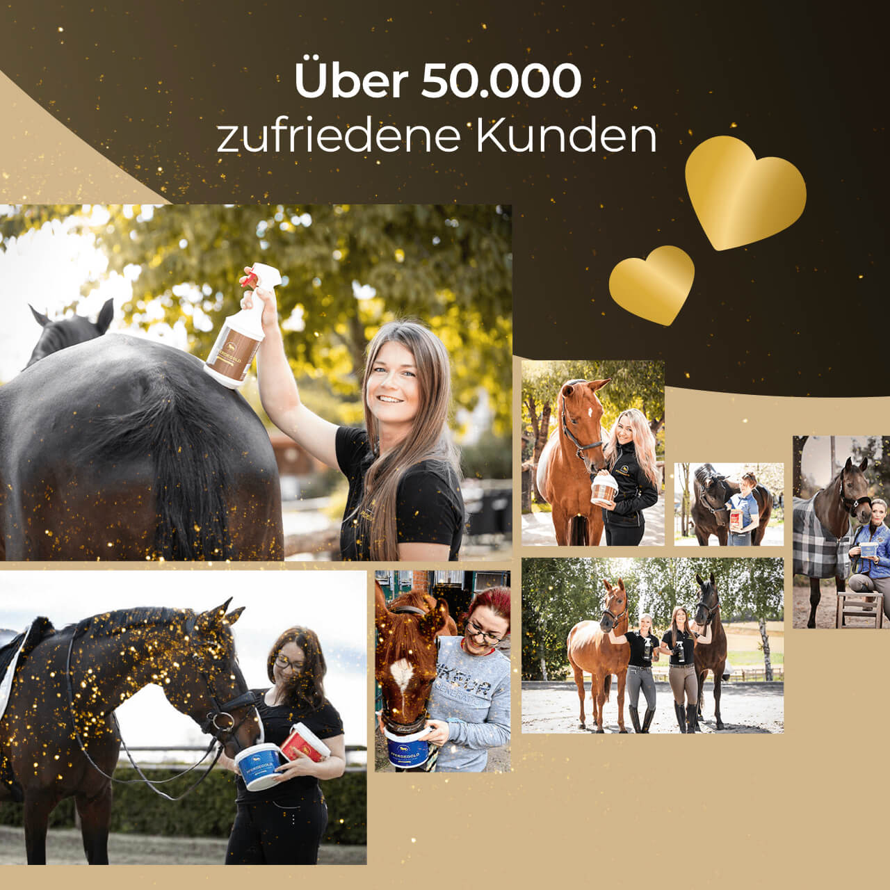Glanzbürste