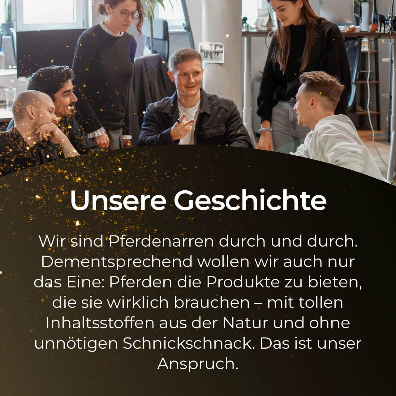 Glanzbürste