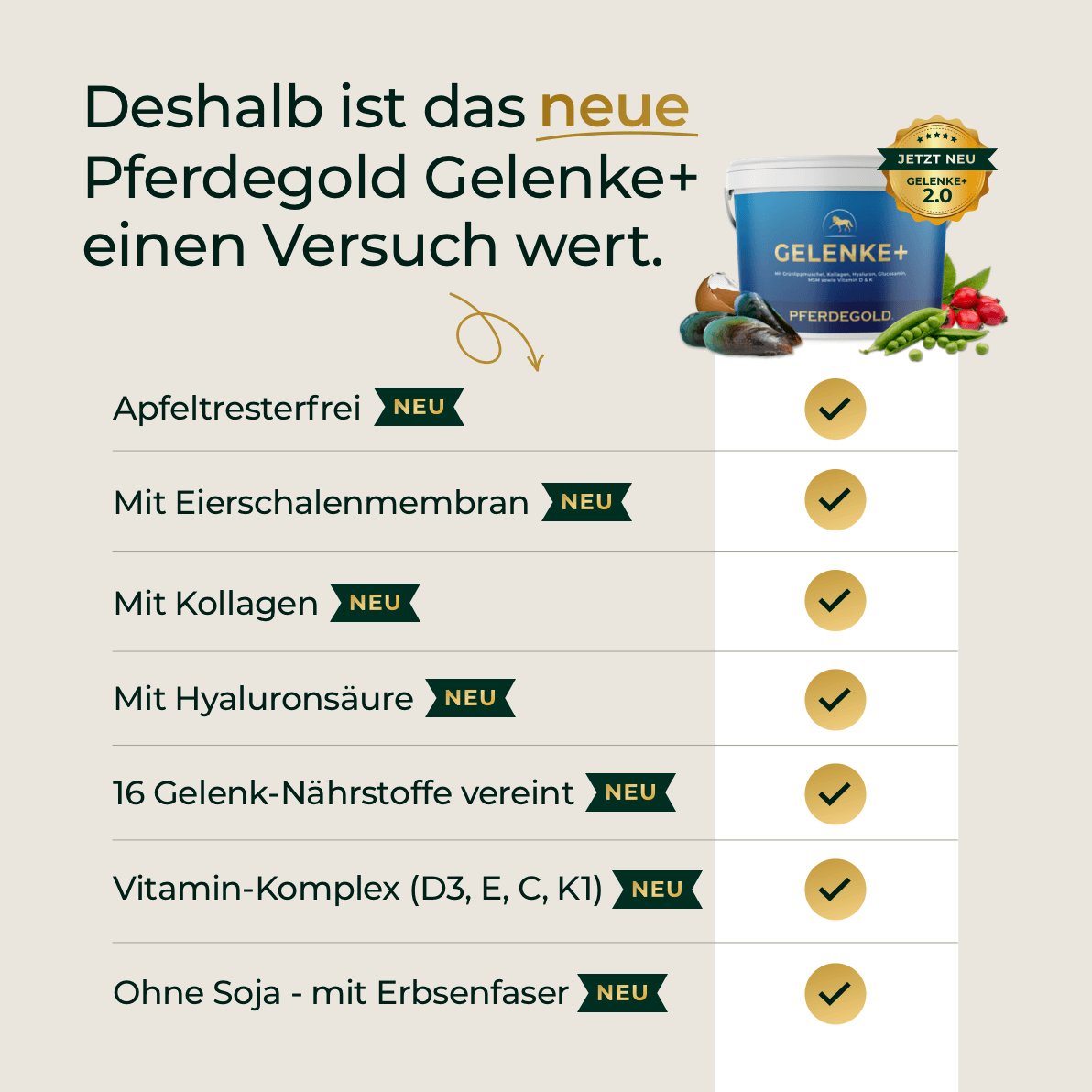 Gelenke+ 2.0