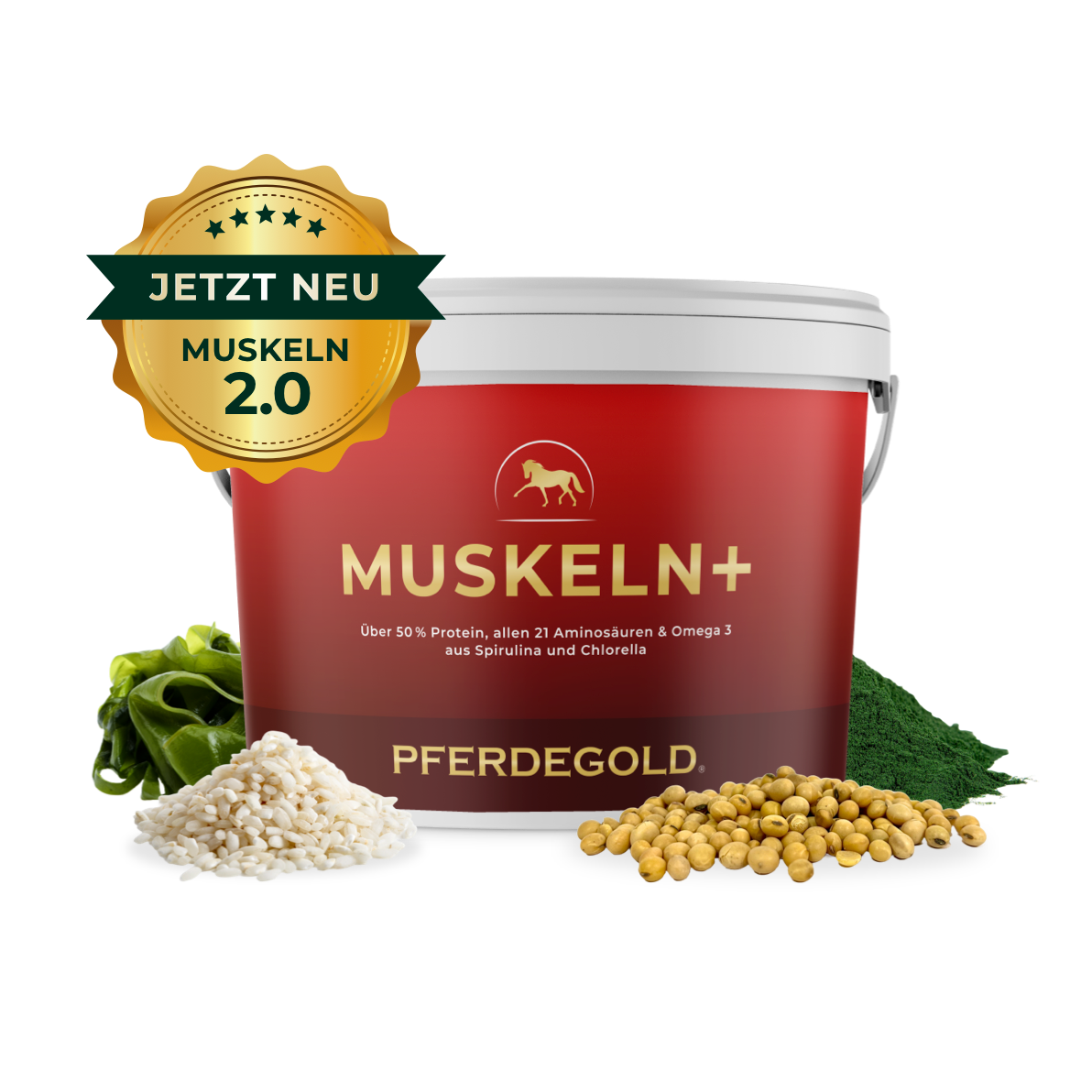 Muskeln+ 2.0
