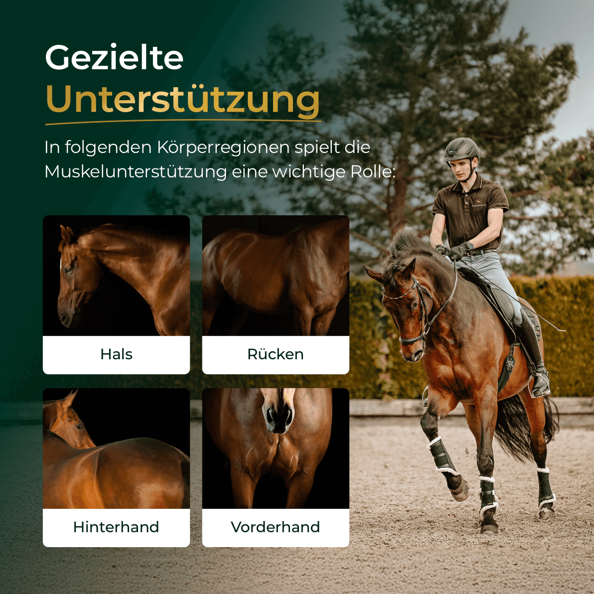 Muskeln 2.0 Sojafrei