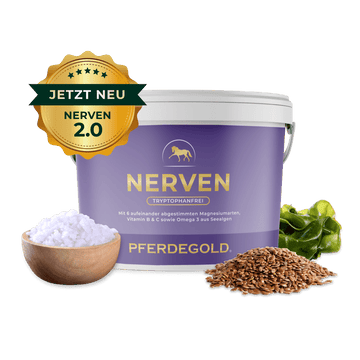 Nerven 2.0