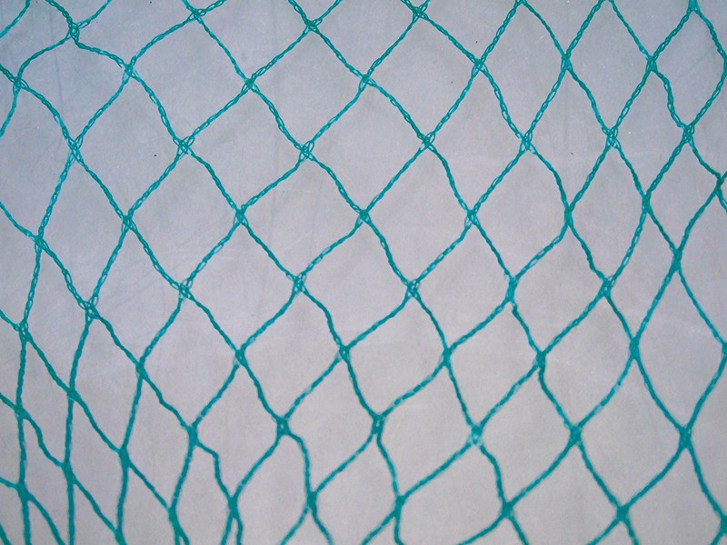 Bladopvangnet