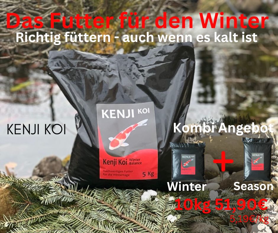KENJI KOI Koude Dagen Pakket - Season &amp; Winter Balance