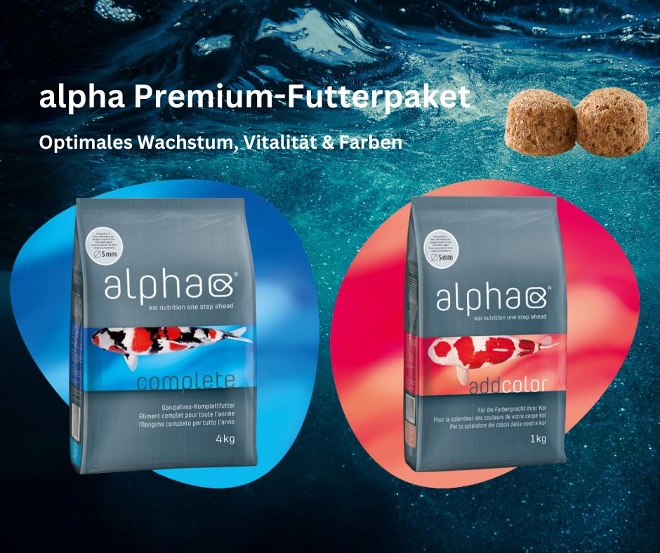 alpha Koivoer Premiumvoer-Pakket 5kg