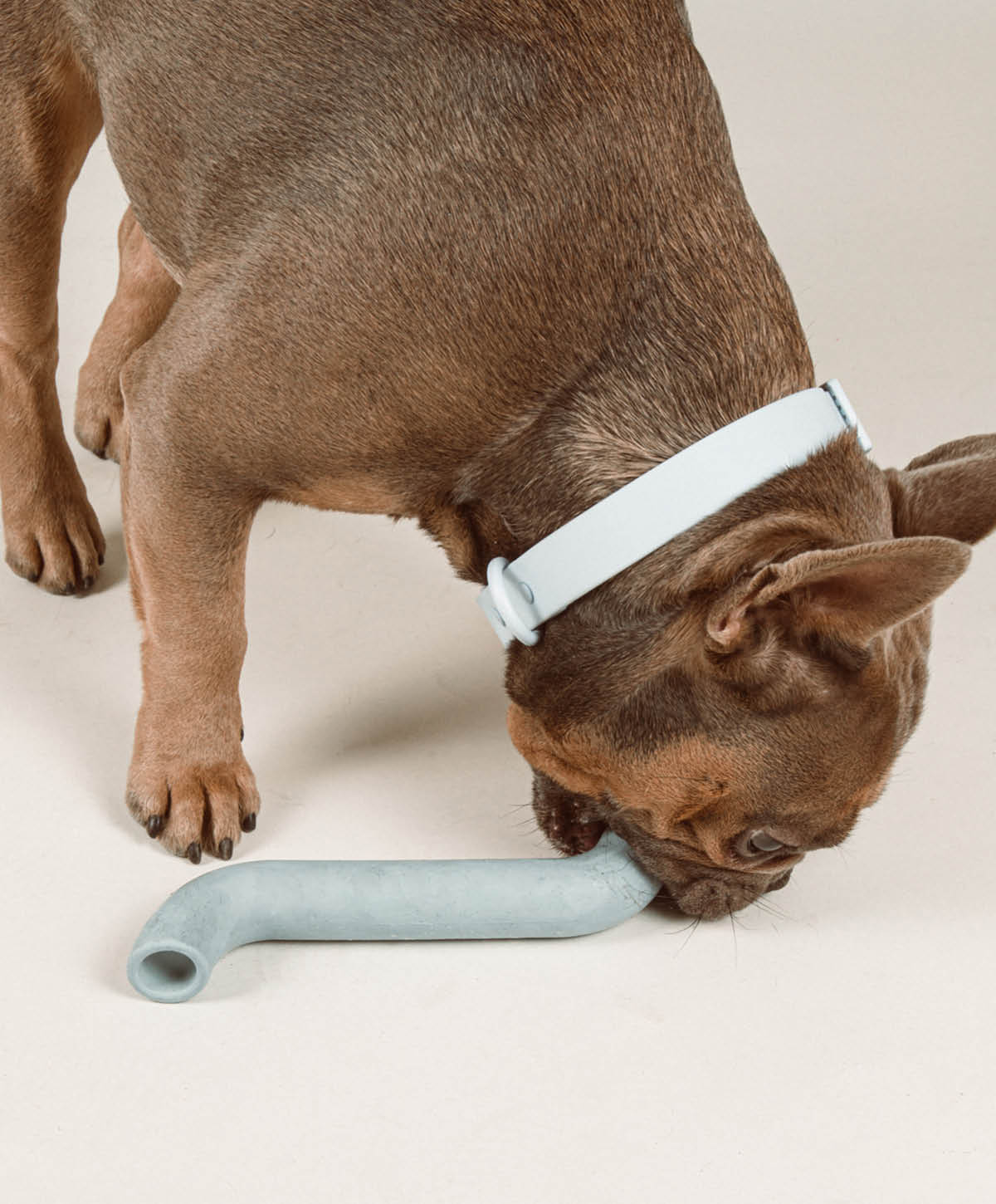 Rubber Bone