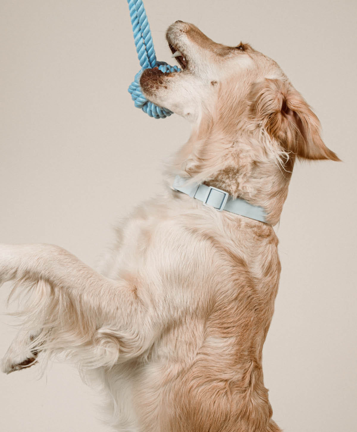 Twisted Rope Toy