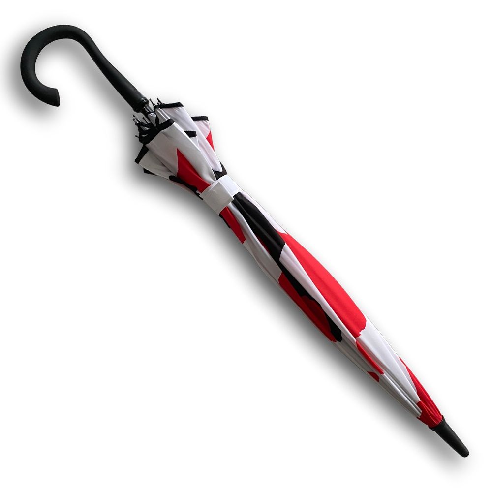 Koiparaplu