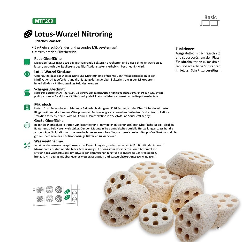 Bergboom Lotuswortel Nitroring